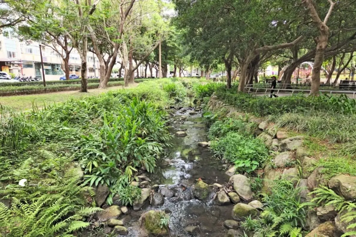 別只去故宮!士林6處「隱藏版景點」快衝:外雙溪祕境、IG暴紅「水中步道」 別只去故宮!士林6處「隱藏版景點」快衝:外雙溪祕境、IG暴紅「水中步道」