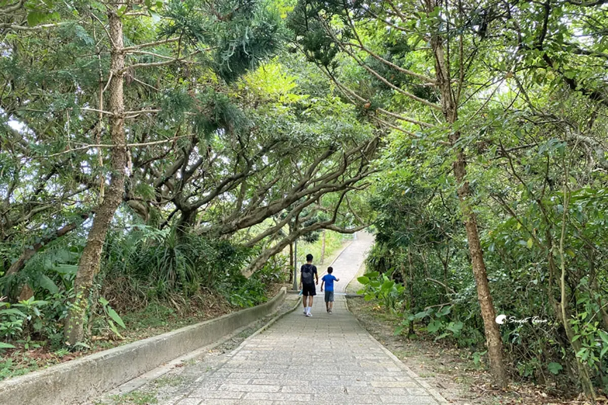 全台最大!2000坪溫泉樂園、秘境露天湯屋,金山溫泉泡湯推薦10處 金山溫泉周邊景點3|獅頭山公園步道