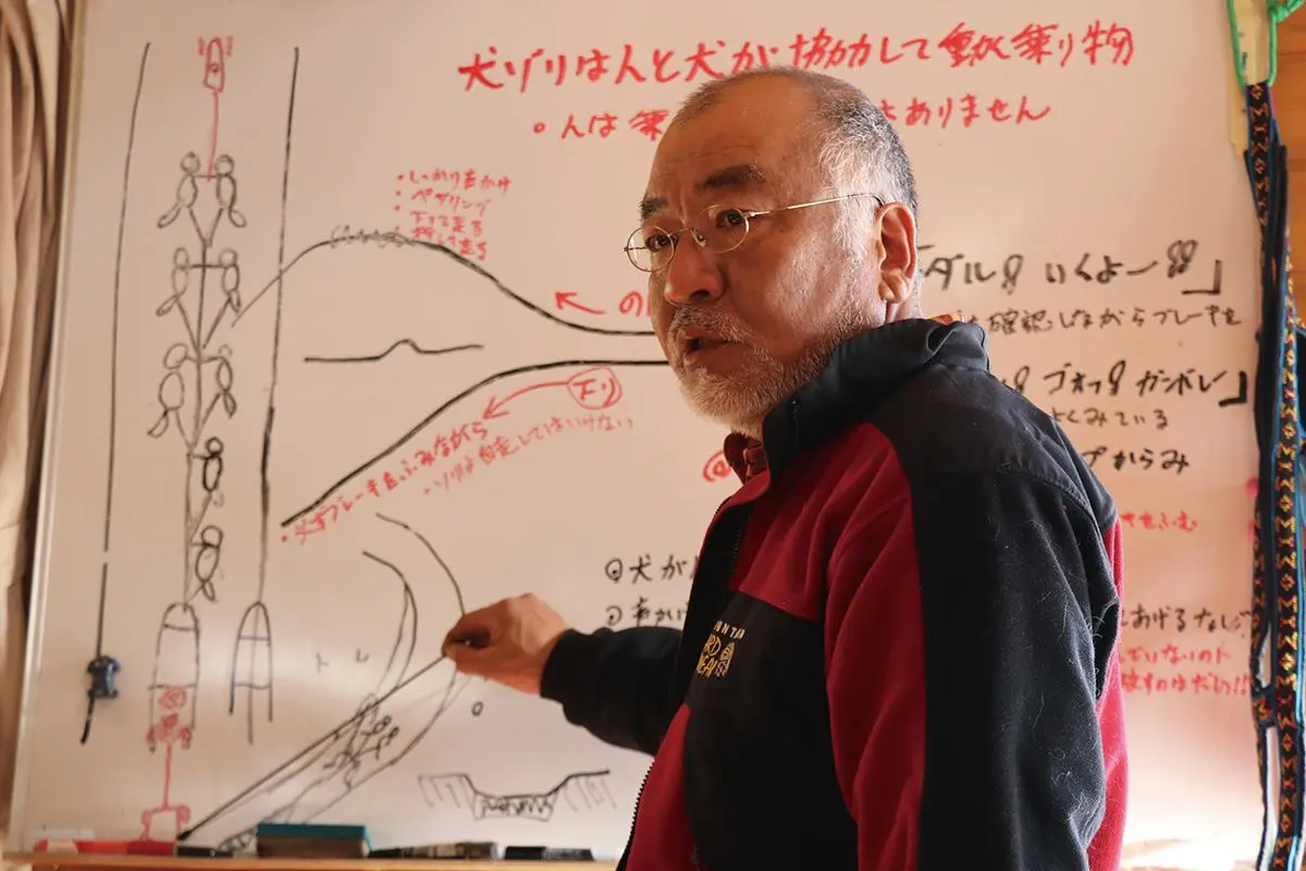 想玩不用飛北歐！北海道必試「自駕狗狗雪橇」，飆速「策狗狂奔」一次就上手