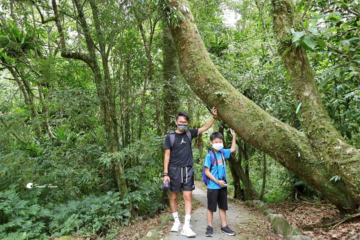 免門票「亞洲最大植物園」在這!搶拍絕美水生池、近距離賞山羌,想去先預約 免門票「亞洲最大植物園」在這!搶拍絕美水生池、近距離賞山羌,想去先預約