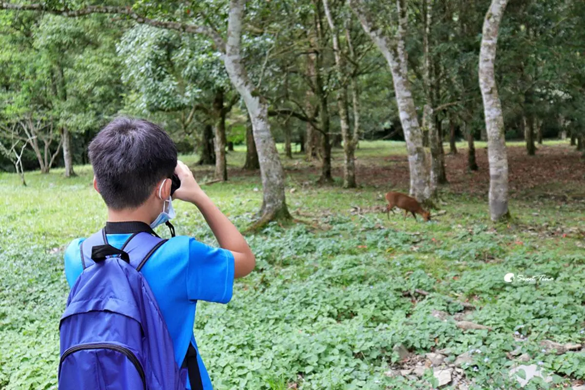 免門票「亞洲最大植物園」在這!搶拍絕美水生池、近距離賞山羌,想去先預約 免門票「亞洲最大植物園」在這!搶拍絕美水生池、近距離賞山羌,想去先預約