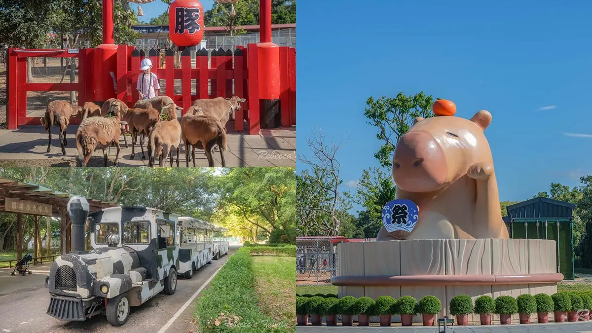 國慶連假這樣玩最省！10景點「免費入園、門票優惠」：壽星免門票、現省200元