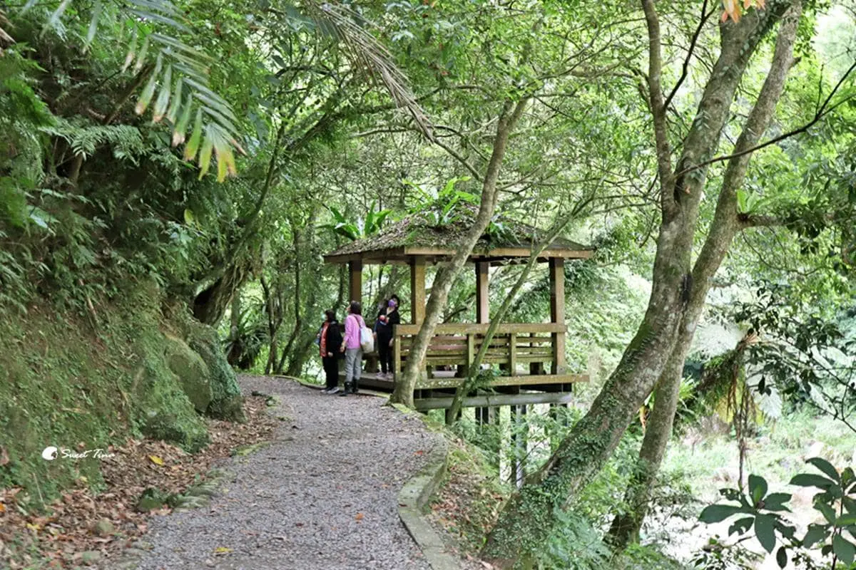 神祕到地圖也找不到!新北石碇6私房景點:絕美「鱷魚島」、公路旁茶園祕境 神祕到地圖也找不到!新北石碇6私房景點:絕美「鱷魚島」、公路旁茶園祕境