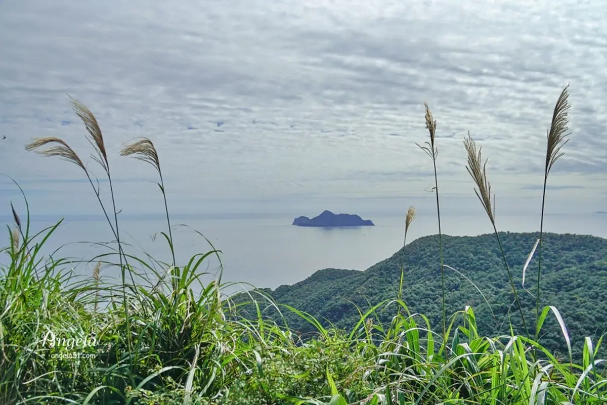 錯過等明年!秋限定雙北4處「芒草步道」:陽明山S型雪白祕境、台版小長城 錯過等明年!秋限定雙北4處「芒草步道」:陽明山S型雪白祕境、台版小長城