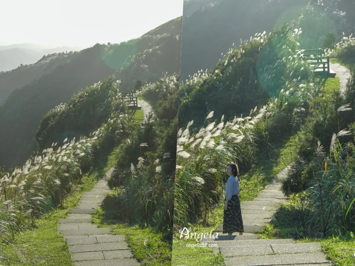 錯過等明年!秋限定雙北4處「芒草步道」:陽明山S型雪白祕境、台版小長城 錯過等明年!秋限定雙北4處「芒草步道」:陽明山S型雪白祕境、台版小長城
