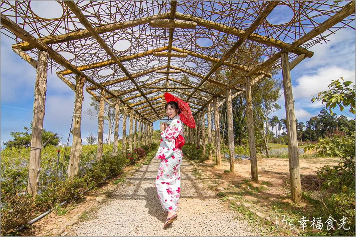 雲林免費景點推薦TOP12:飛天鵝溜滑梯、彩色松鼠公園、1秒飛泰國的台版大皇宮 雲林親子景點推薦:雲嶺之丘