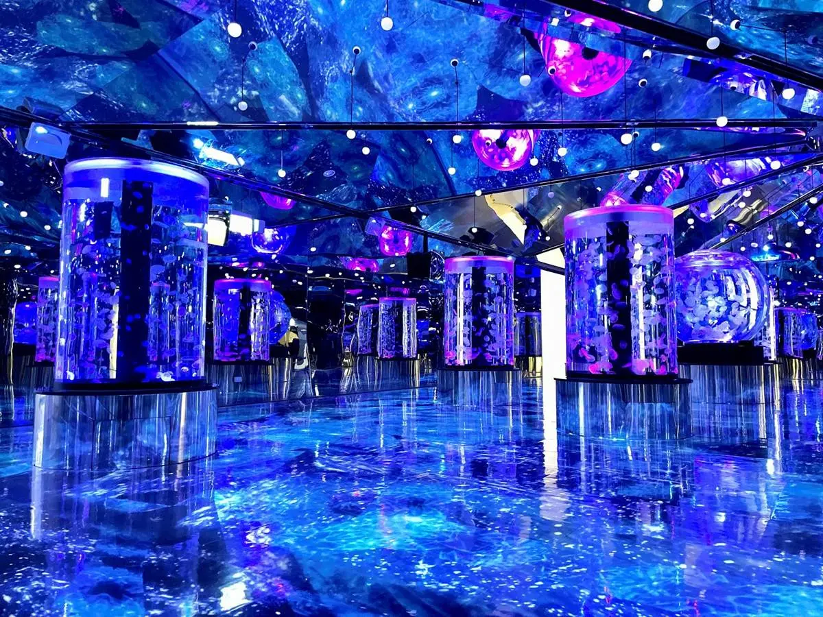 買門票免費喝企鵝拿鐵！Xpark「水母萬花筒」飄白雪美翻，雙11開跑拍到手軟