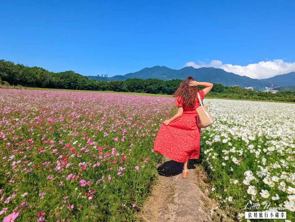 破萬坪「七彩漸層花海」在台北!雙11開跑免費拍爆,接駁車、交通資訊一次看 破萬坪「七彩漸層花海」在台北!雙11開跑免費拍爆,接駁車、交通資訊一次看