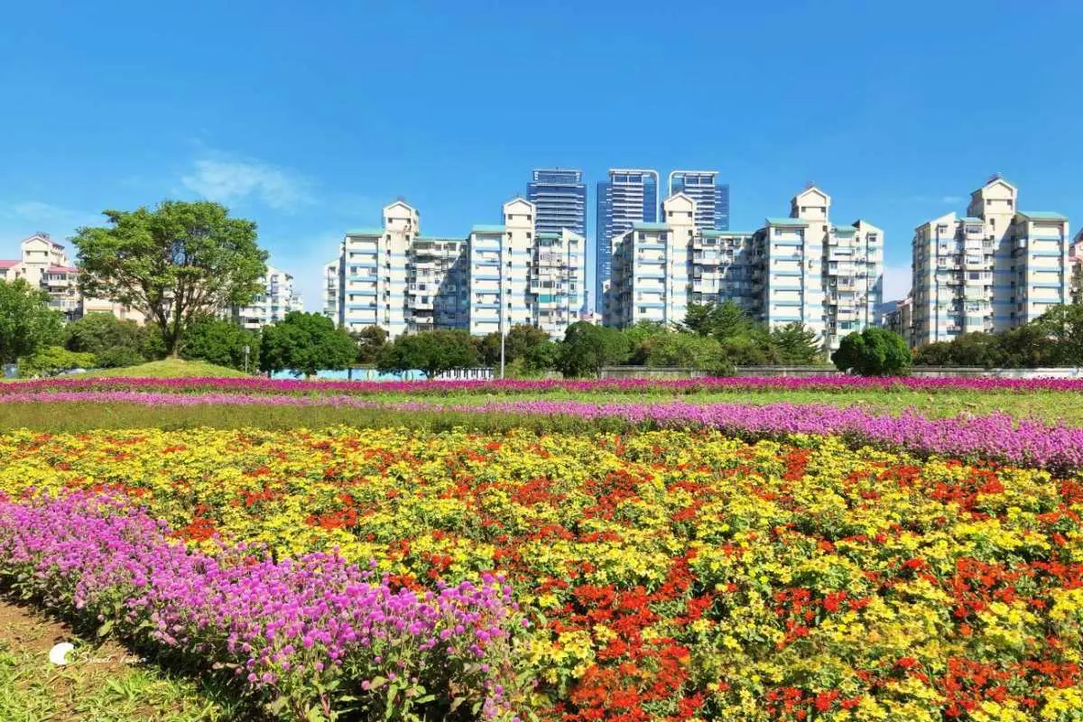 花仙子免費拍到飽!2023秋冬最美花海TOP6:漂浮花花城堡、6萬坪童話花田 花仙子免費拍到飽!2023秋冬最美花海TOP6:漂浮花花城堡、6萬坪童話花田