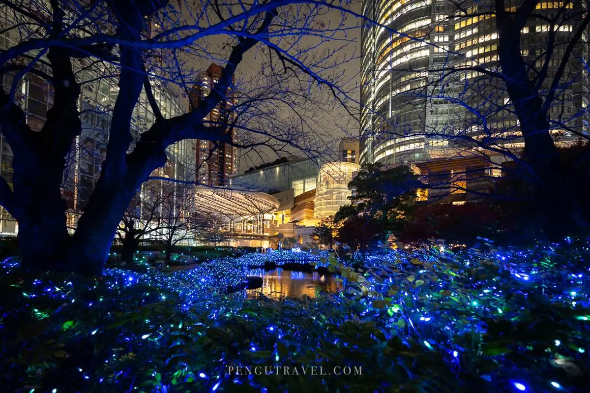美到像拍日劇！冬季限定「東京最美聖誕點燈」，80萬顆燈海搭東京鐵塔拍爆