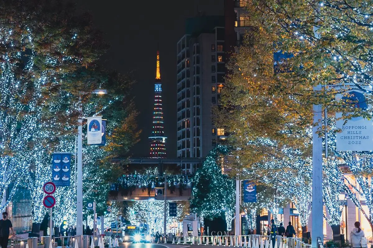 美到像拍日劇！冬季限定「東京最美聖誕點燈」，80萬顆燈海搭東京鐵塔拍爆