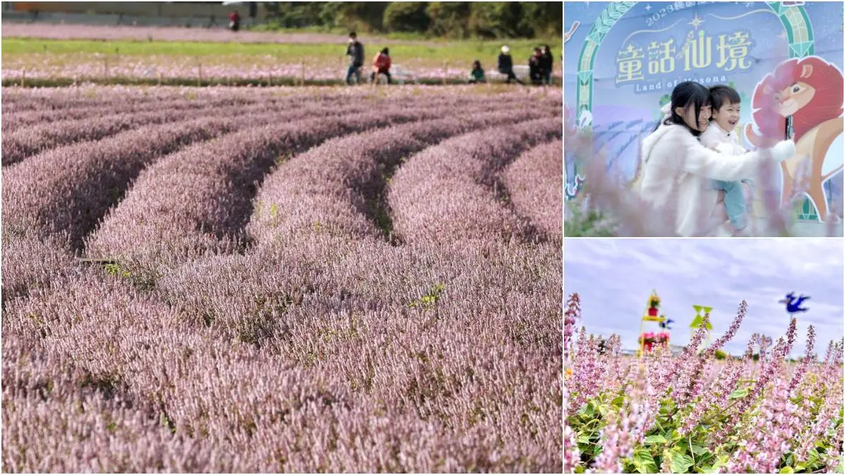 免費拍紫爆「台版普羅旺斯」！「桃園仙草嘉年華」週末登場，童話主題超夢幻