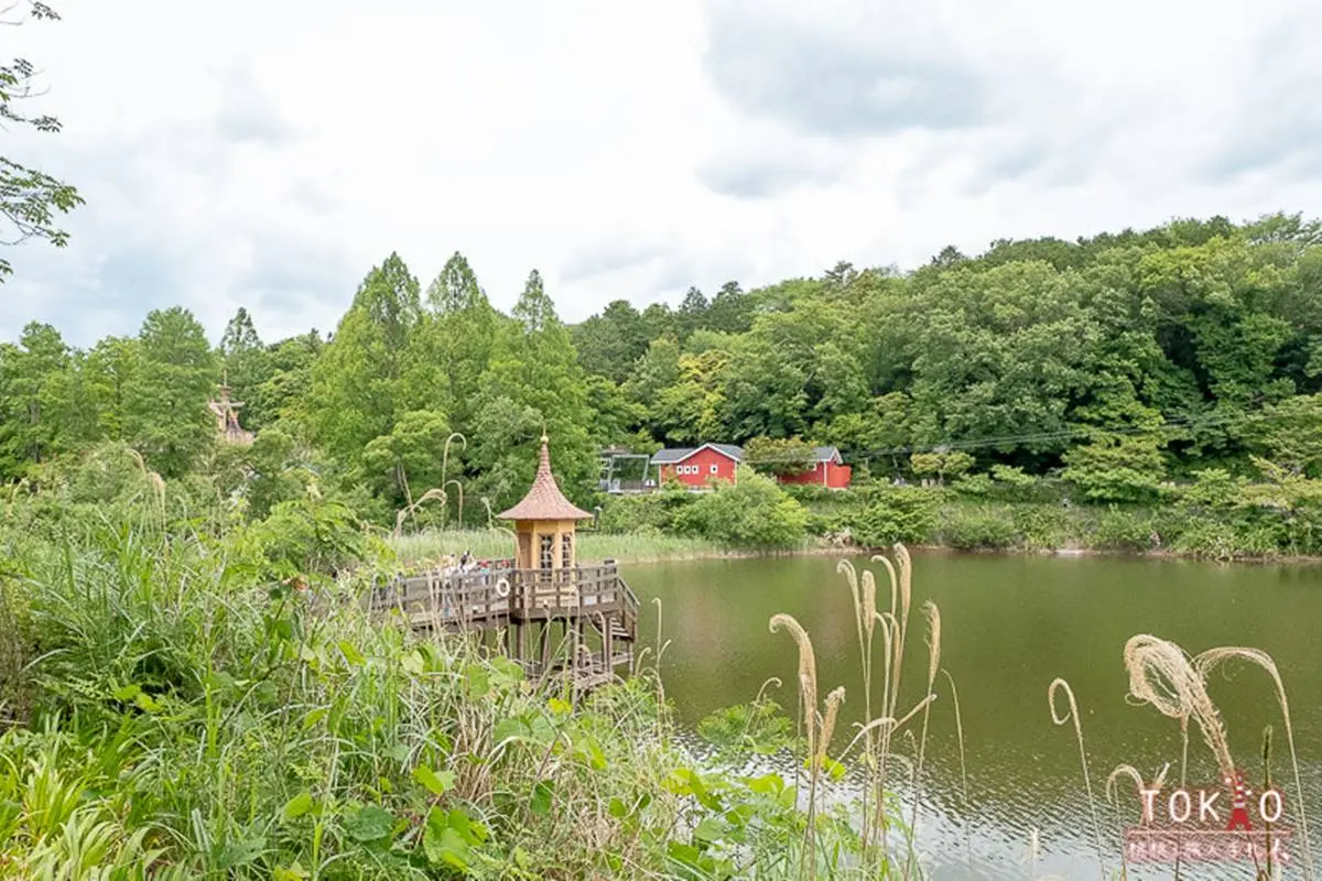１次玩嚕嚕米公園＋樂園！快搭親子友善「超大觀景窗」列車遊東京近郊