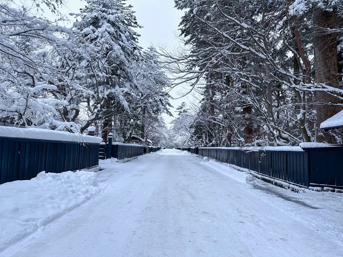 冬季必遊「東北小京都」!衝秋田賞夢幻雪景、武士故居,還有超萌秋田犬迎客 冬季必遊「東北小京都」!衝秋田賞夢幻雪景、武士故居,還有超萌秋田犬迎客