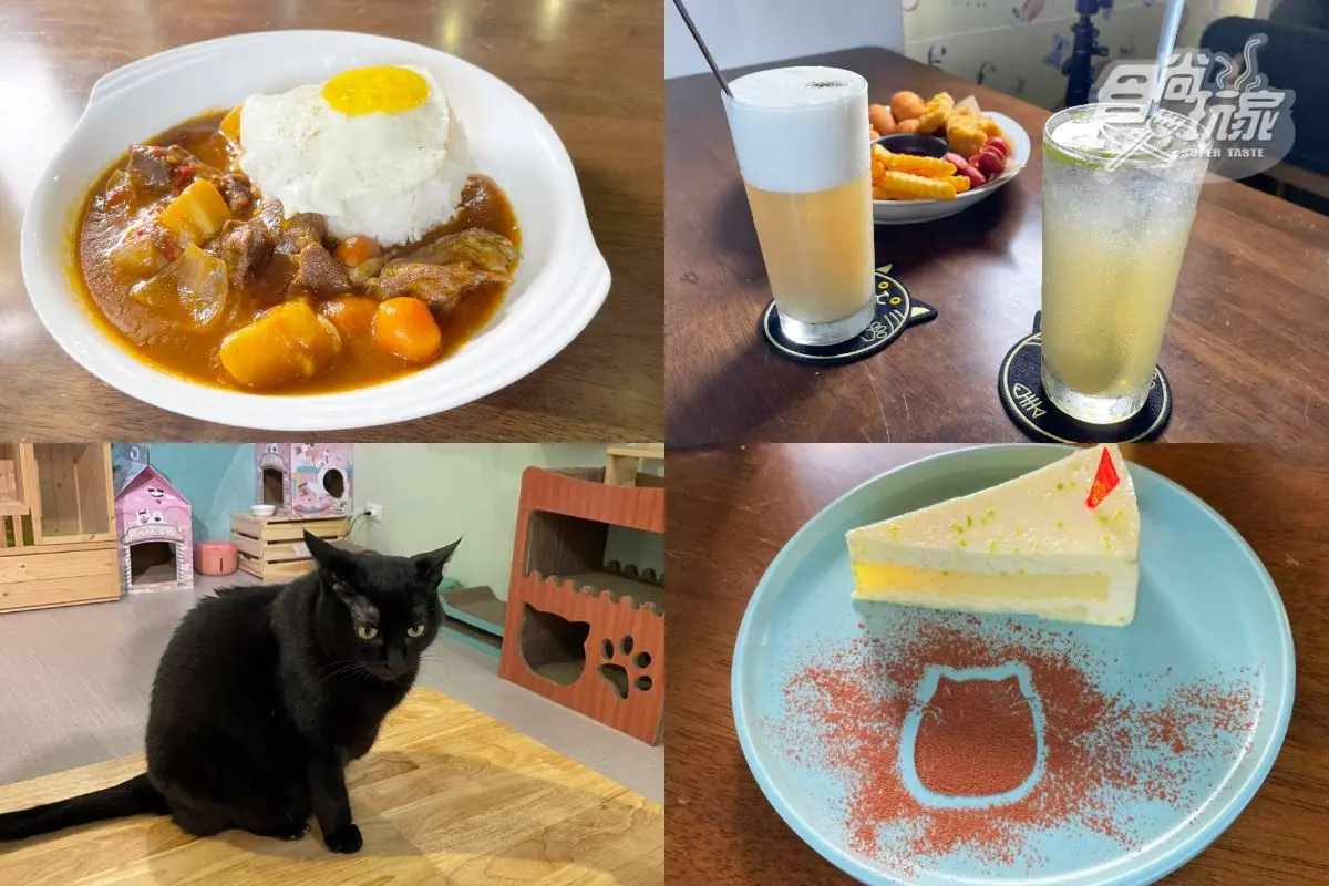 O CAT CAFÉ｜超萌貓奴天堂