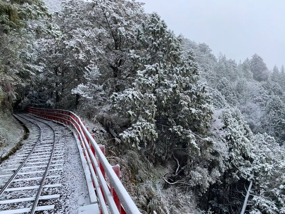 宜蘭太平山下雪啦！觀景台、火車鐵軌積雪秒變「雪白仙境」，追雪族快朝聖