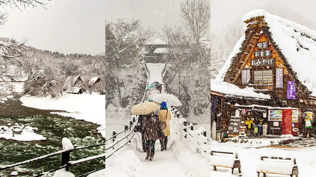 走進夢幻雪白世界！世界遺產「合掌村」全攻略：必訪景點、點燈時間１次看