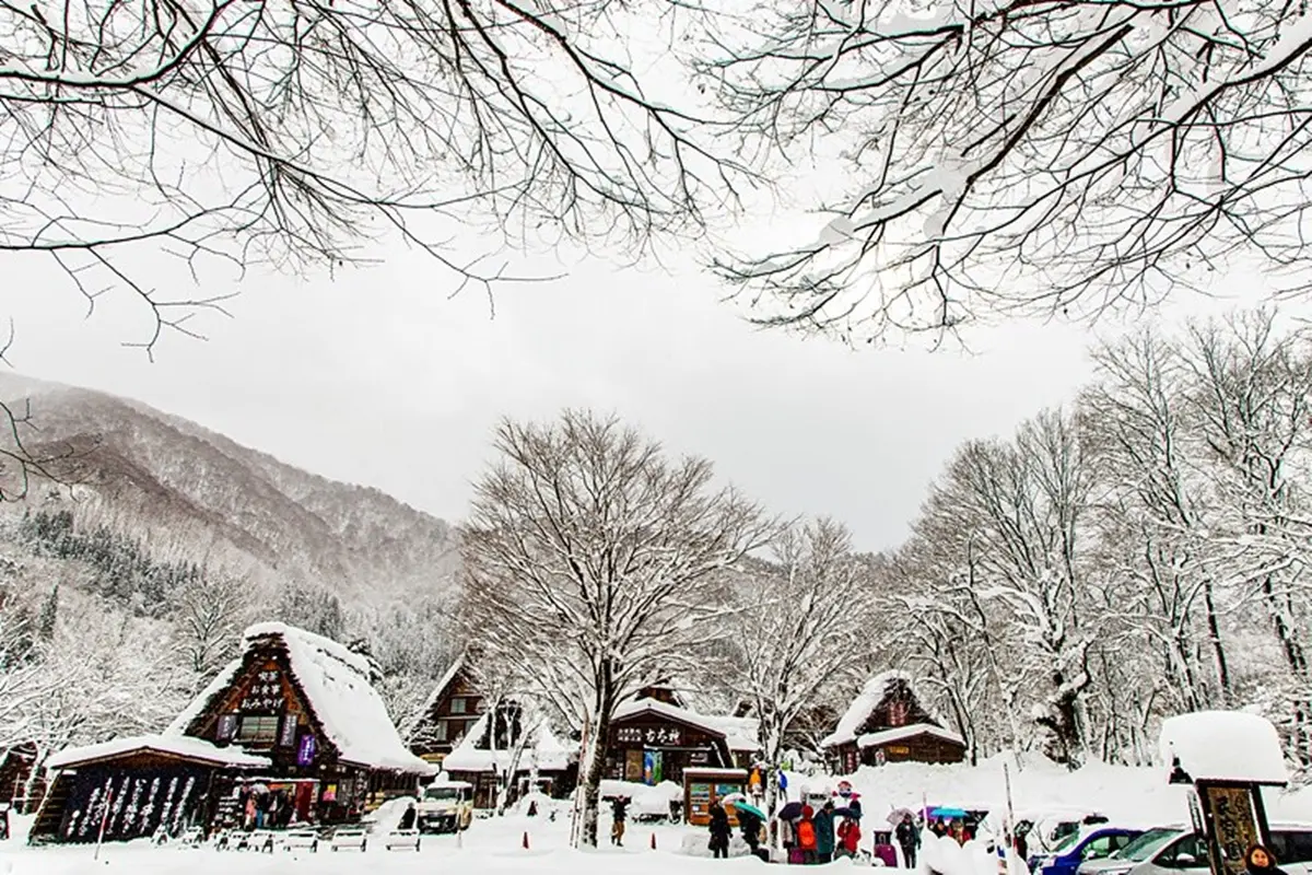 走進夢幻雪白世界！世界遺產「合掌村」全攻略：必訪景點、點燈時間１次看