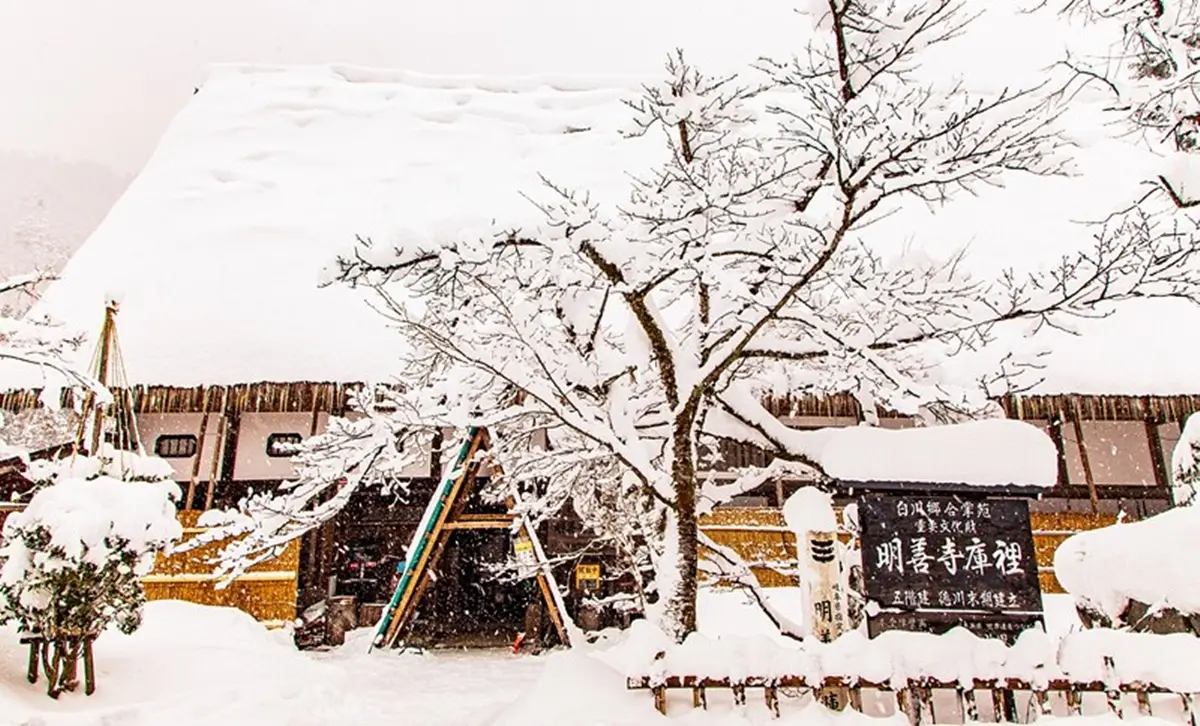 走進夢幻雪白世界！世界遺產「合掌村」全攻略：必訪景點、點燈時間１次看