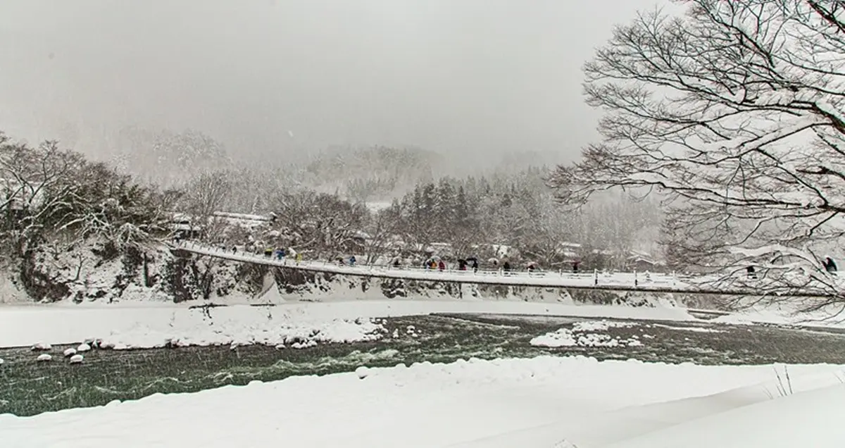 走進夢幻雪白世界！世界遺產「合掌村」全攻略：必訪景點、點燈時間１次看