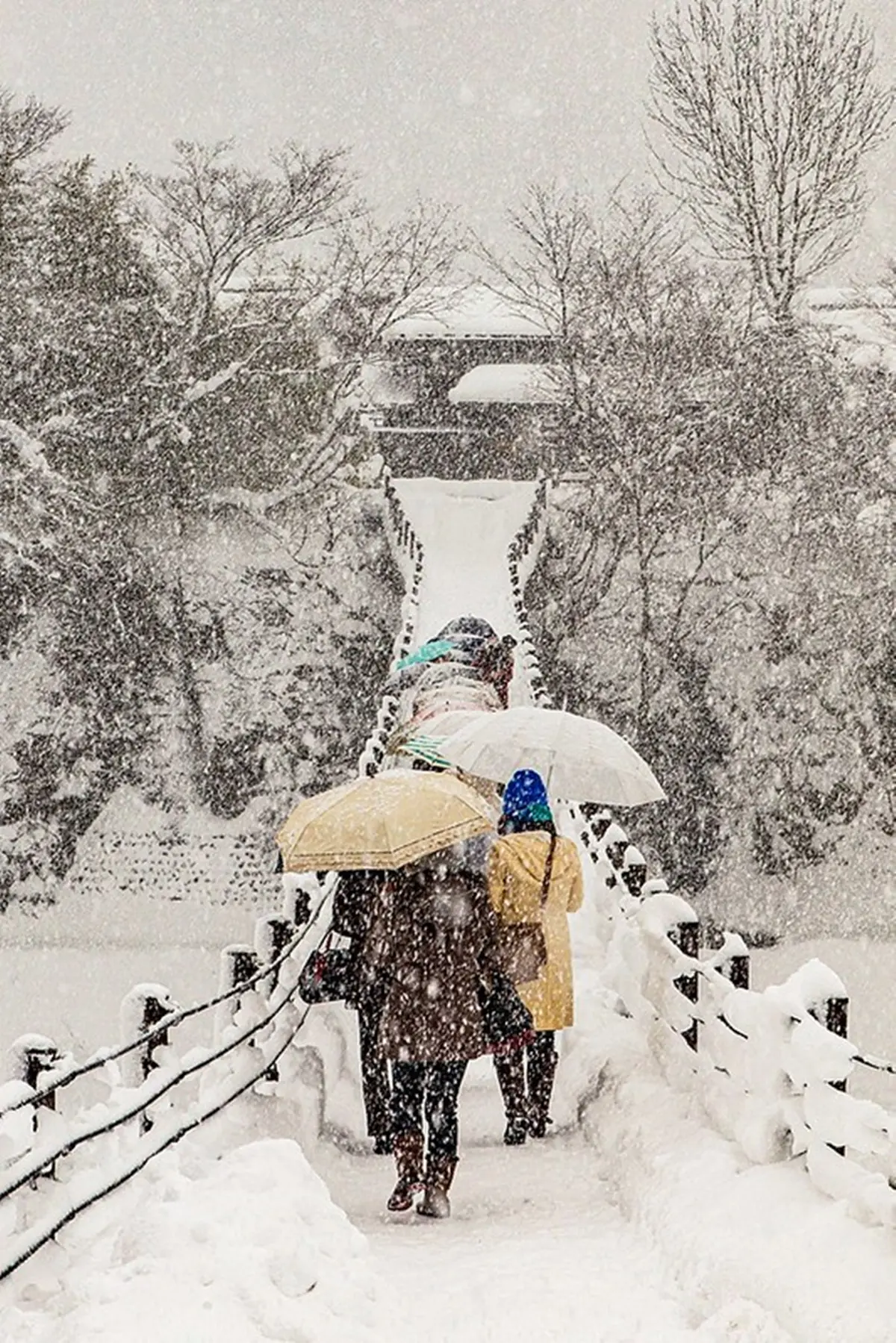 走進夢幻雪白世界！世界遺產「合掌村」全攻略：必訪景點、點燈時間１次看