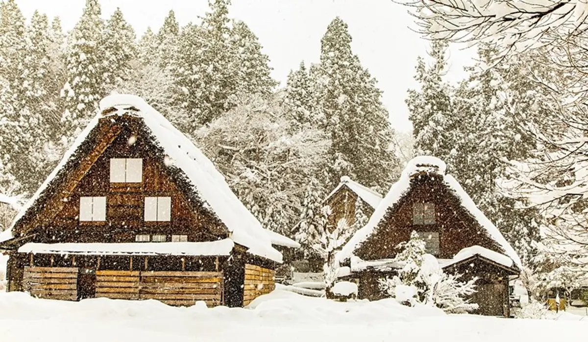 走進夢幻雪白世界！世界遺產「合掌村」全攻略：必訪景點、點燈時間１次看