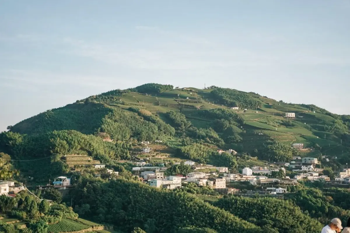 雲瀑陪你吃早餐!阿里山老茶廠變身歐風民宿,躺床就能看雲海日出 雲瀑陪你吃早餐!阿里山老茶廠變身歐風民宿,躺床就能看雲海日出