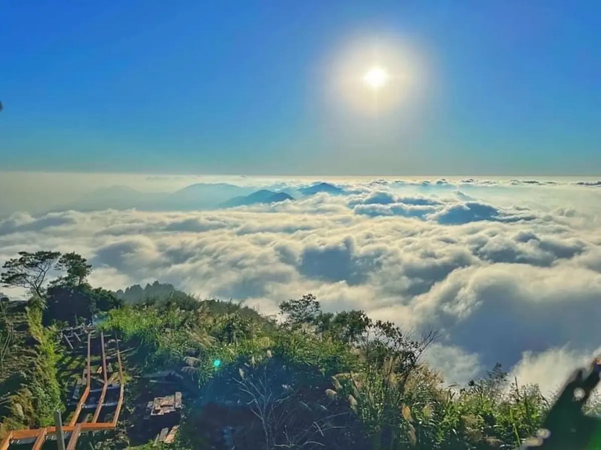 雲瀑陪你吃早餐!阿里山老茶廠變身歐風民宿,躺床就能看雲海日出 雲瀑陪你吃早餐!阿里山老茶廠變身歐風民宿,躺床就能看雲海日出