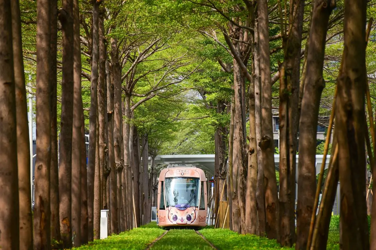 限時免費搭高雄輕軌!精選7站必訪美食+景點,最強「捷運美食地圖」快收藏 限時免費搭高雄輕軌!精選7站必訪美食+景點,最強「捷運美食地圖」快收藏