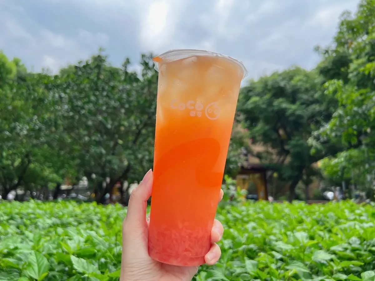 CoCo 都可最新菜單、活動!2026飲料價格、推薦必喝Top10 【CoCo菜單推薦必喝】05. 葡萄柚果粒茶