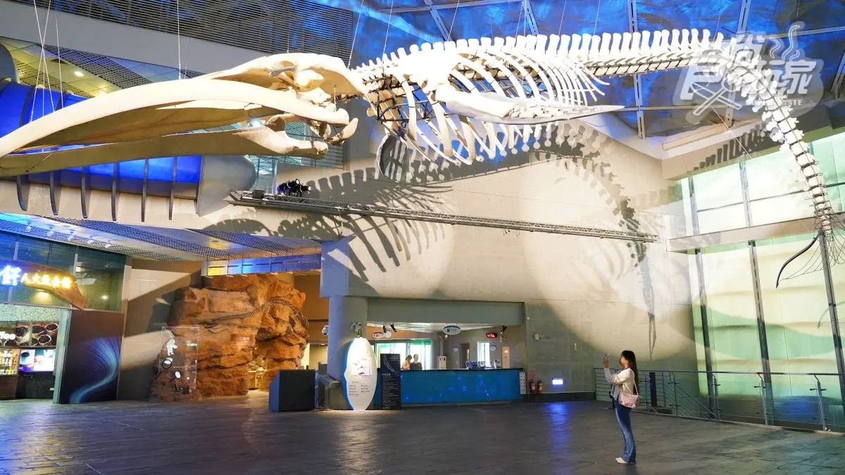 「全台最大水族館」最強攻略！４種隱藏版玩法：夜宿海生館、全台唯一餵企鵝(中獎公布)