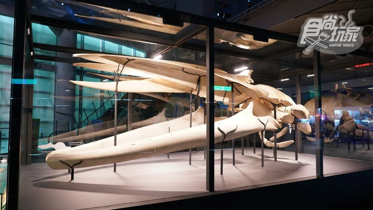 「全台最大水族館」最強攻略！４種隱藏版玩法：夜宿海生館、全台唯一餵企鵝(中獎公布)