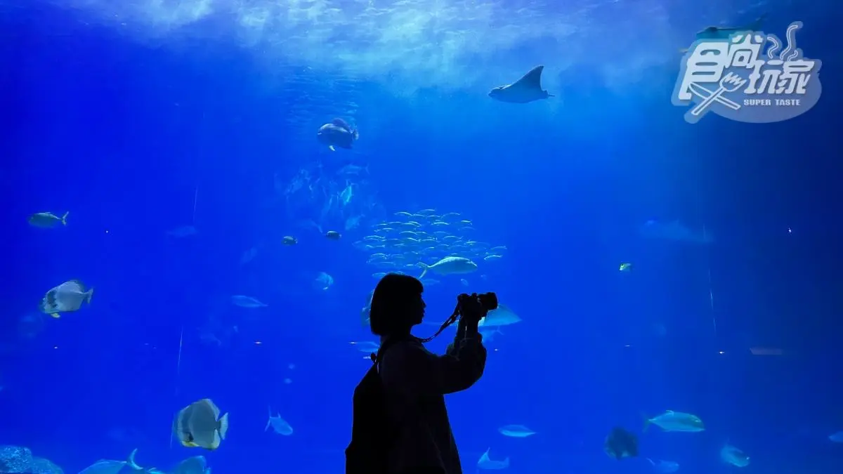 「全台最大水族館」最強攻略！４種隱藏版玩法：夜宿海生館、全台唯一餵企鵝(中獎公布)