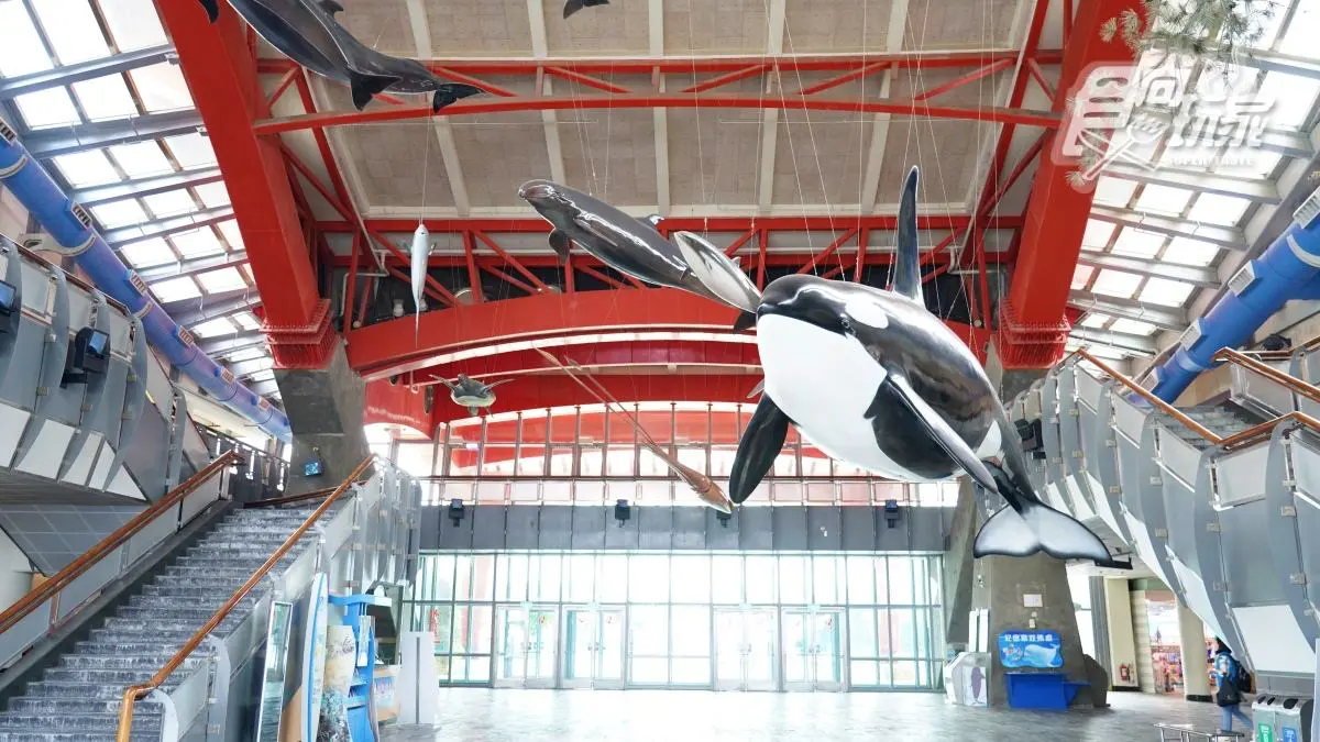 「全台最大水族館」最強攻略！４種隱藏版玩法：夜宿海生館、全台唯一餵企鵝(中獎公布)