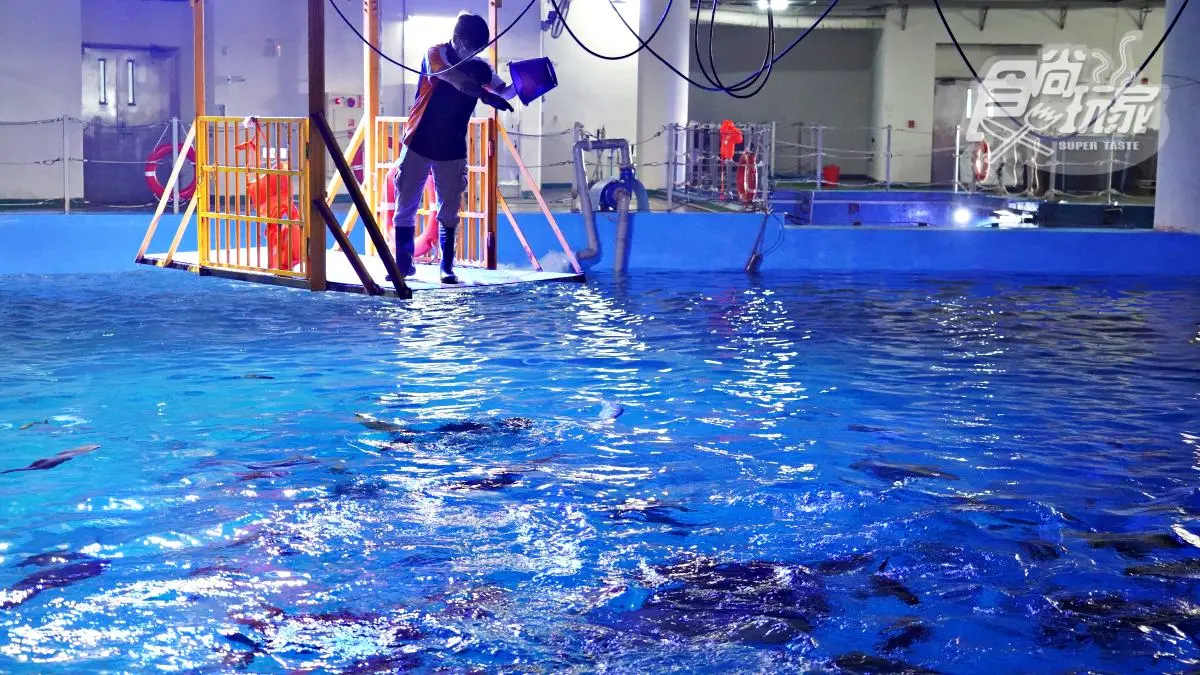 「全台最大水族館」最強攻略！４種隱藏版玩法：夜宿海生館、全台唯一餵企鵝(中獎公布)