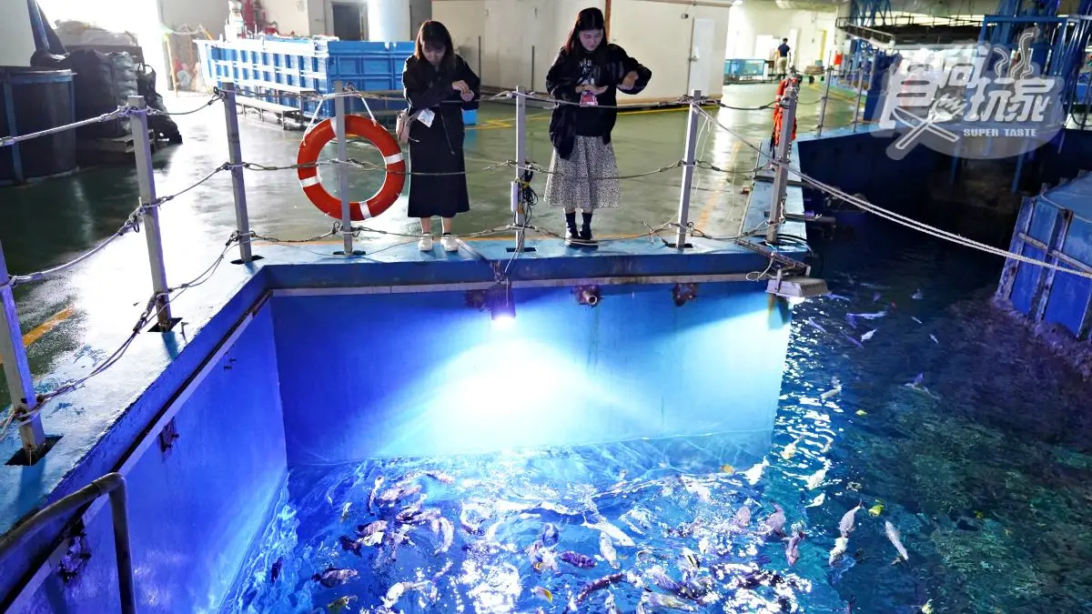 「全台最大水族館」最強攻略!4種隱藏版玩法:夜宿海生館、全台唯一餵企鵝(中獎公布) 「全台最大水族館」最強攻略!4種隱藏版玩法:夜宿海生館、全台唯一餵企鵝(中獎公布)