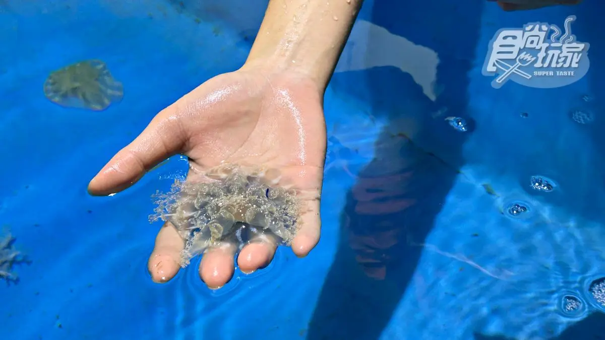 「全台最大水族館」最強攻略！４種隱藏版玩法：夜宿海生館、全台唯一餵企鵝(中獎公布)