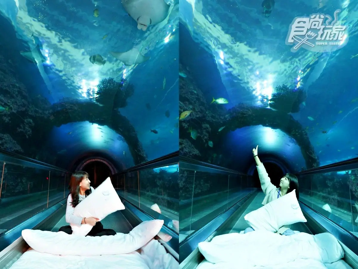 「全台最大水族館」最強攻略!4種隱藏版玩法:夜宿海生館、全台唯一餵企鵝(中獎公布) 「全台最大水族館」最強攻略!4種隱藏版玩法:夜宿海生館、全台唯一餵企鵝(中獎公布)