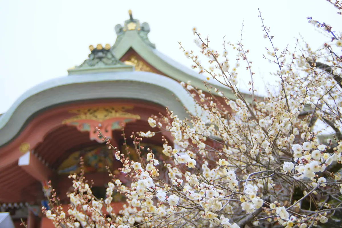 住大阪每晚千元價!捷絲旅「日本分館」月底前搶優惠,還送早餐+GODIVA 住大阪每晚千元價!捷絲旅「日本分館」月底前搶優惠,還送早餐+GODIVA