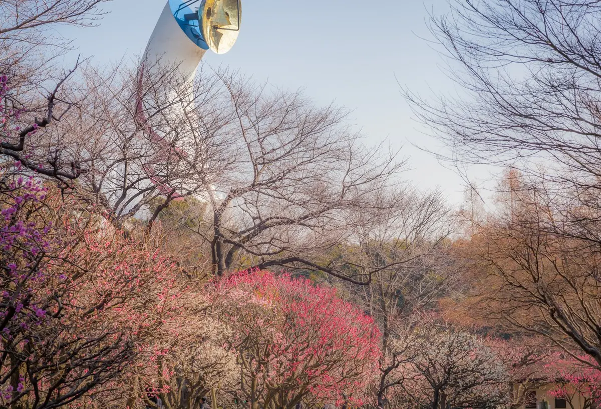 住大阪每晚千元價!捷絲旅「日本分館」月底前搶優惠,還送早餐+GODIVA 住大阪每晚千元價!捷絲旅「日本分館」月底前搶優惠,還送早餐+GODIVA