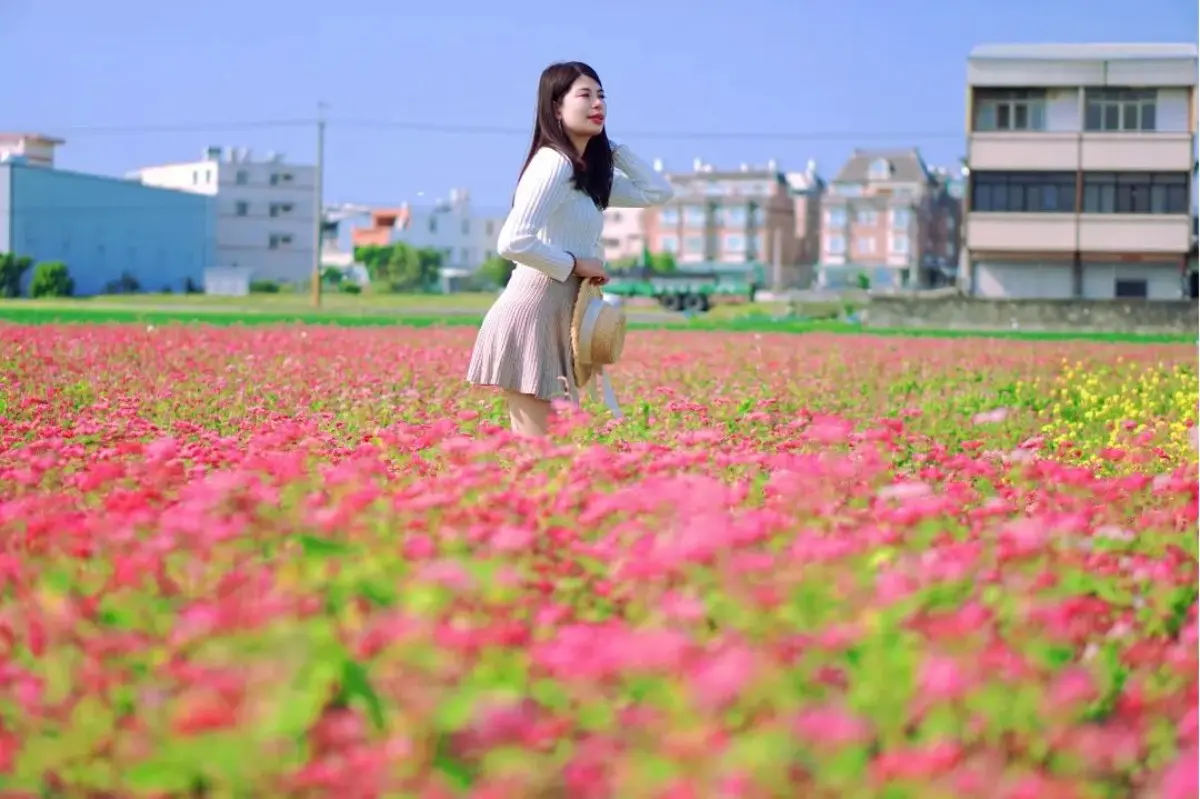 全台唯一「紅色蕎麥花海」祕境在這！近3000坪堪稱全台最大，免費開放拍到飽