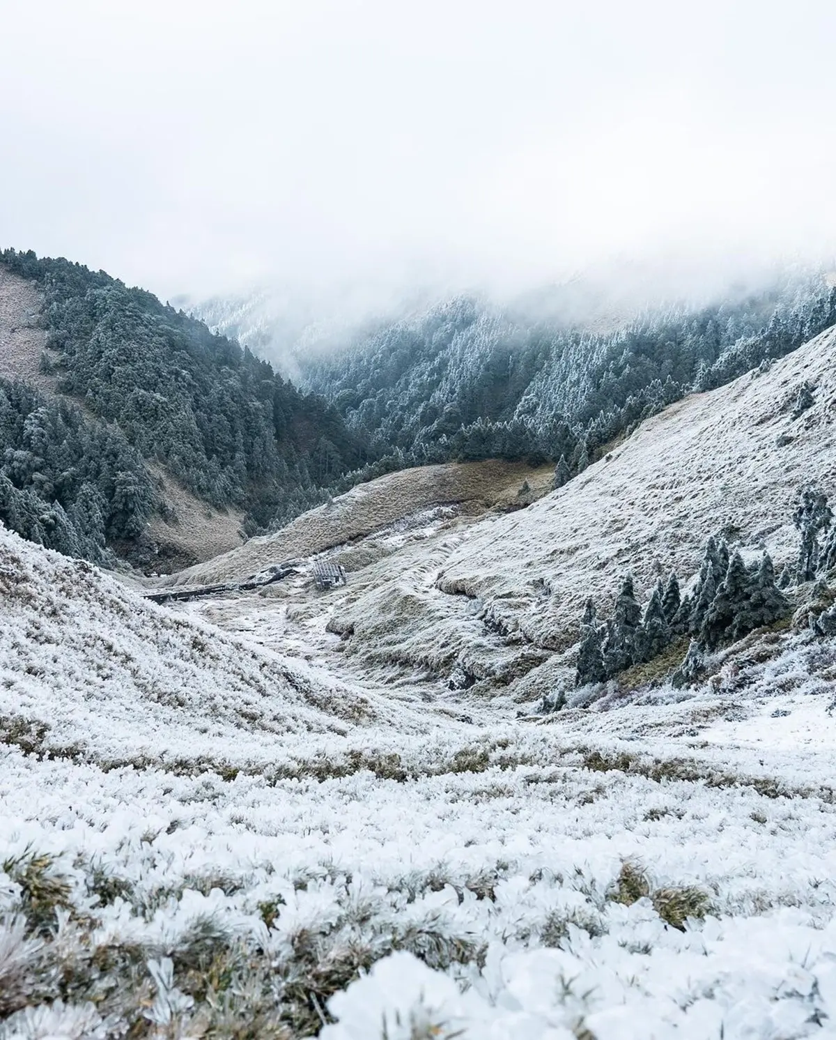 秒飛瑞士看湖光山景！南投祕境民宿腳底就是雲海，運氣好還能看雪