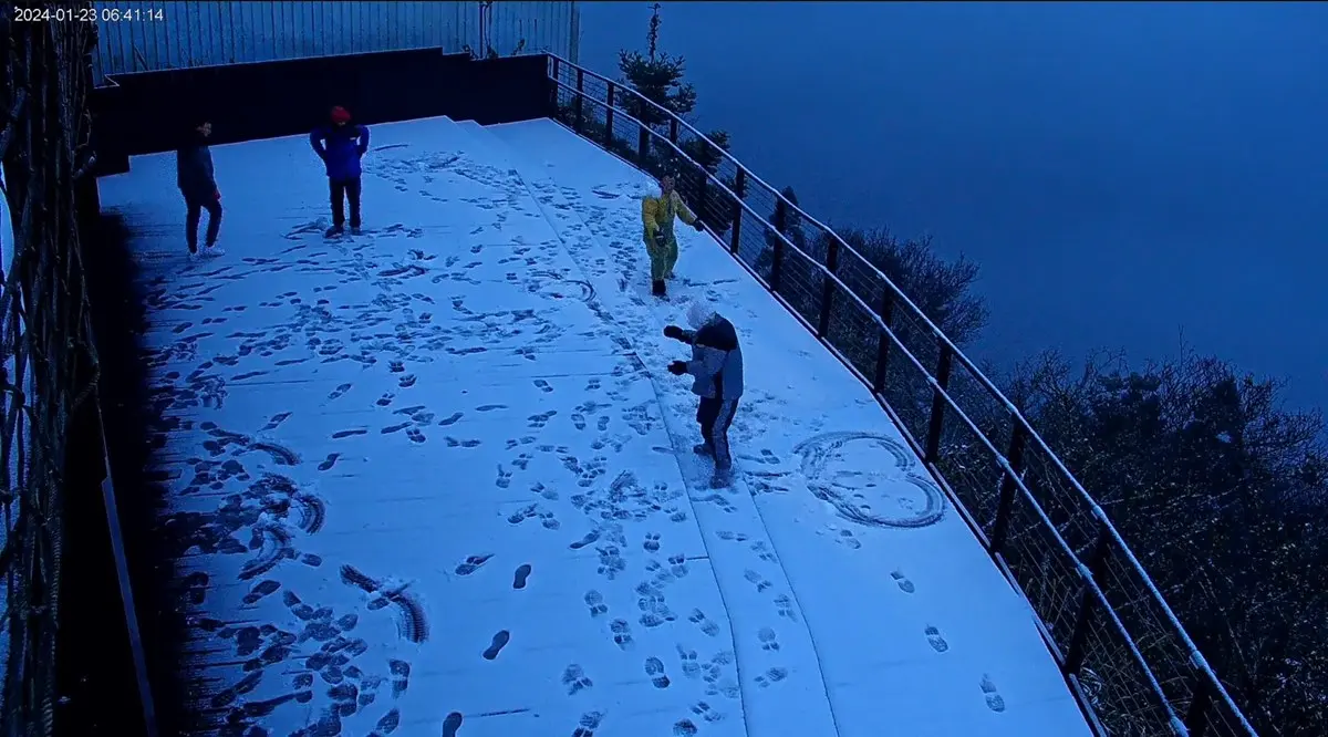 即時雪況報你知!2024全台7處下雪景點:亞洲最大神木園、三峽茶園祕境 即時雪況報你知!2024全台7處下雪景點:亞洲最大神木園、三峽茶園祕境