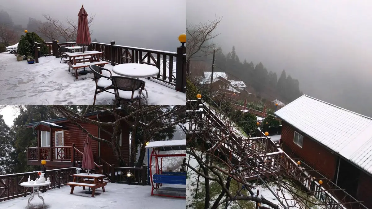 即時雪況報你知!2024全台7處下雪景點:亞洲最大神木園、三峽茶園祕境 即時雪況報你知!2024全台7處下雪景點:亞洲最大神木園、三峽茶園祕境