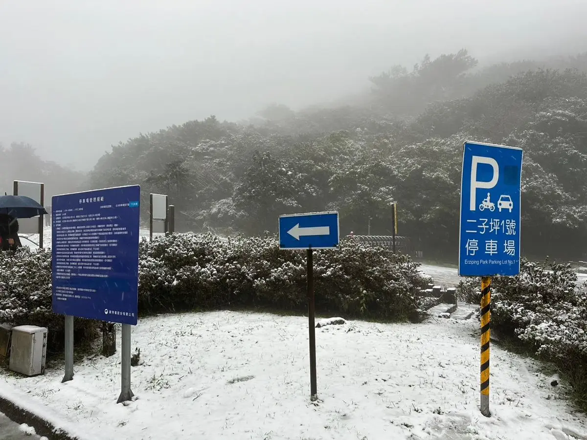 即時雪況報你知!2024全台7處下雪景點:亞洲最大神木園、三峽茶園祕境 即時雪況報你知!2024全台7處下雪景點:亞洲最大神木園、三峽茶園祕境
