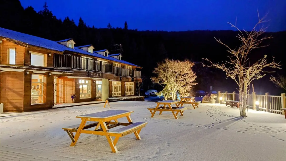 即時雪況報你知!2024全台7處下雪景點:亞洲最大神木園、三峽茶園祕境 即時雪況報你知!2024全台7處下雪景點:亞洲最大神木園、三峽茶園祕境