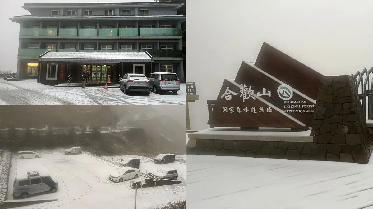 即時雪況報你知!2024全台7處下雪景點:亞洲最大神木園、三峽茶園祕境 即時雪況報你知!2024全台7處下雪景點:亞洲最大神木園、三峽茶園祕境