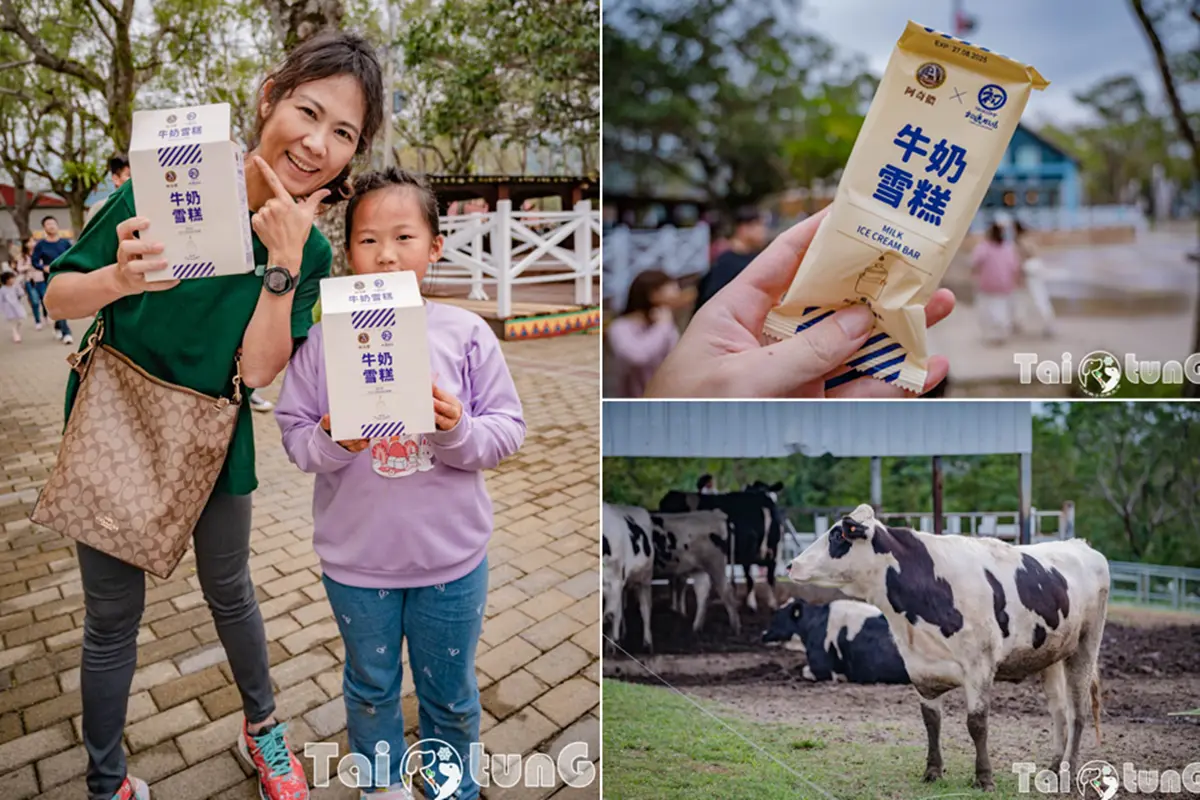 ６歲以下免費入園！台東「初鹿牧場」５玩法：餵牛牛、免費玩滑草、吃牛奶冰