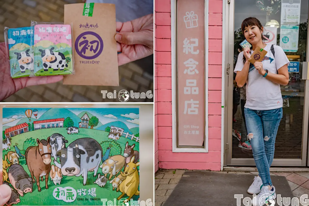 ６歲以下免費入園！台東「初鹿牧場」５玩法：餵牛牛、免費玩滑草、吃牛奶冰