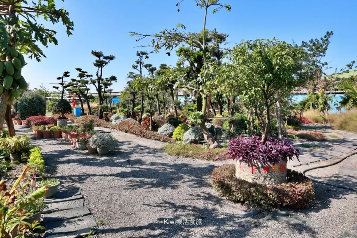 100元暢玩18種設施!全台唯一「不插電樂園」藏這,先衝空中腳踏車、海盜船 100元暢玩18種設施!全台唯一「不插電樂園」藏這,先衝空中腳踏車、海盜船